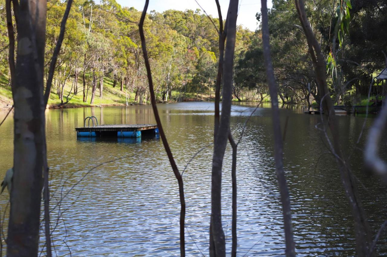 Farm stay Preston Valley Shed